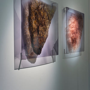 Janet Laurence's 'Garden for an alchemist' at Hugo Michell Gallery, 2025.