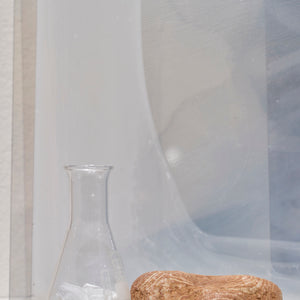 Janet Laurence, A Plant Healing (detail), 2024-25, Duraclear on shinkolite acrylic, oil pigment, glass vial, rock, plant material & chalk rock, 80 x 120 x 26 cm variable