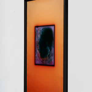 Justine Varga, Geranium, 2024 – 2025, chromogenic photograph, edition of 5 + 2AP, 132.5 x 84.5 cm