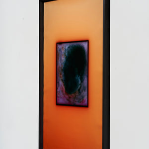 Justine Varga, Geranium, 2024 – 2025, chromogenic photograph, edition of 5 + 2AP, 132.5 x 84.5 cm