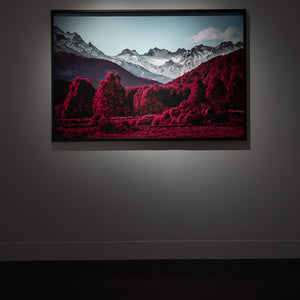 Kate Ballis, Middle Earth (installation view), 2023-2024, archival inkjet print on cotton rag, 100 x 150 cm, edition of 8 + 2AP