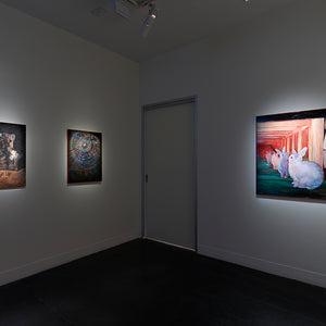 Kate Kurucz's 'Eventual Horizon' at Hugo Michell Gallery, 2023