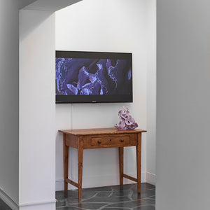 Sam Gold's 'Soft, Until It Burns' at Hugo Michell Gallery, 2026, with videography film by Connor Patterson