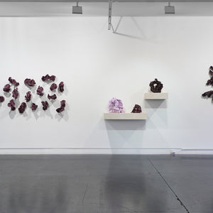 Sam Gold's 'Soft, Until It Burns' at Hugo Michell Gallery, 2026. 