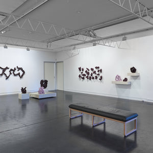 Sam Gold's 'Soft, Until It Burns' at Hugo Michell Gallery, 2026.