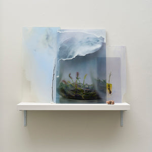 Janet Laurence, A Whole World (installation view), 2024-25
Duraclear on shinkolite acrylic, oil pigment, glass vial, rock & plant material
80 x 120 x 26 cm variable
