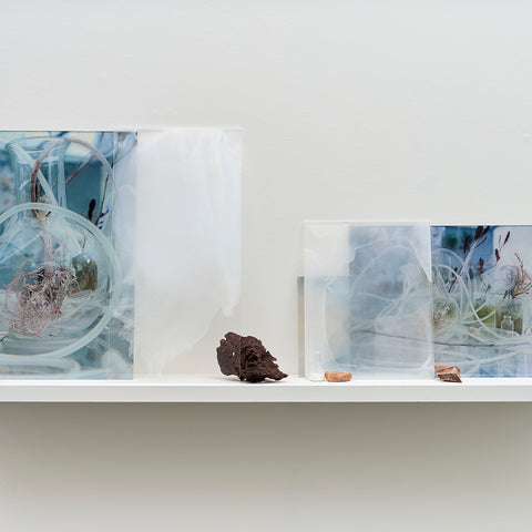 Janet Laurence, A Plant Healing, 2024-25, Duraclear on shinkolite acrylic, oil pigment, glass vial, rock, plant material & chalk rock, 80 x 120 x 26 cm variable