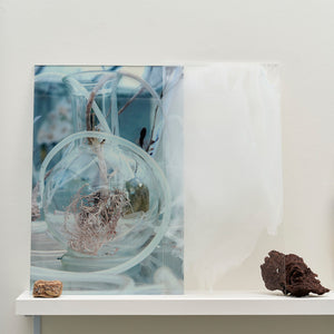 Janet Laurence, A Plant Healing (detail/installation view), 2024-25, Duraclear on shinkolite acrylic, oil pigment, glass vial, rock, plant material & chalk rock, 80 x 120 x 26 cm variable