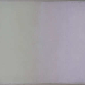 Marisa Purcell, Light Blind, 2024, acrylic on linen, 180 x 200 cm