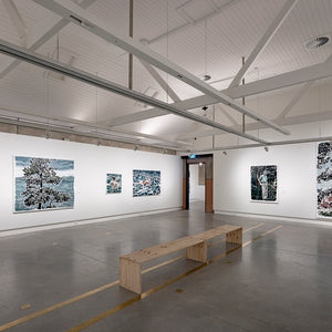 Clara Adolphs’ ‘Together Again’ at Ngununggula Gallery, Southern Highlands, 2024. Photo by Document Photography