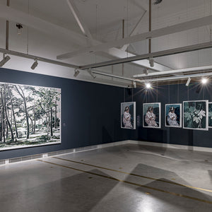 Clara Adolphs’ ‘Together Again’ at Ngununggula Gallery, Southern Highlands, 2024. Photo by Document Photography