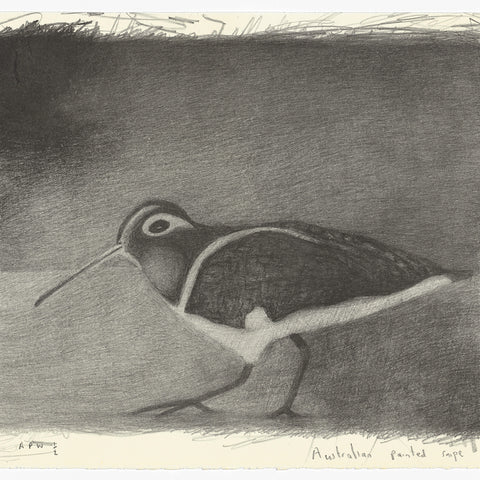 Richard Lewer 'Australian Painted Snipe' Lithograph Print