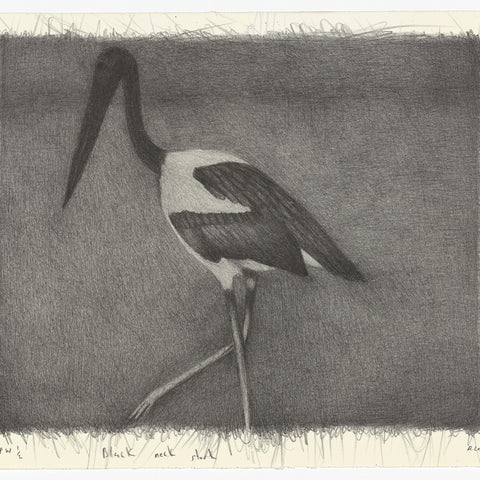 Richard Lewer 'Black necked Stork' Lithograph Print