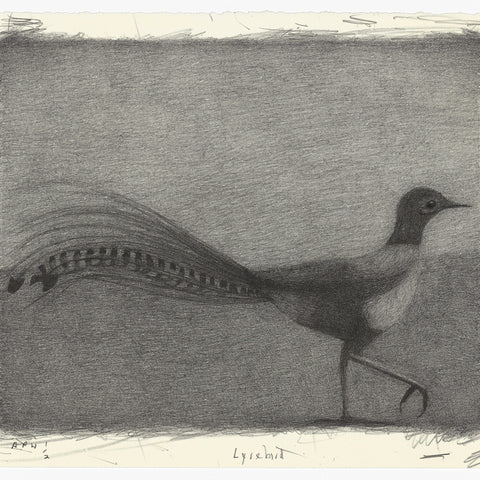 Richard Lewer 'Lyrebird' Lithograph Print