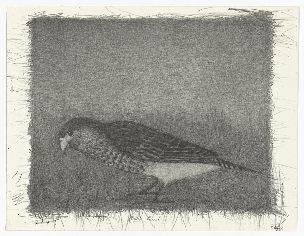 Richard Lewer 'Night Parrot' Lithograph Print