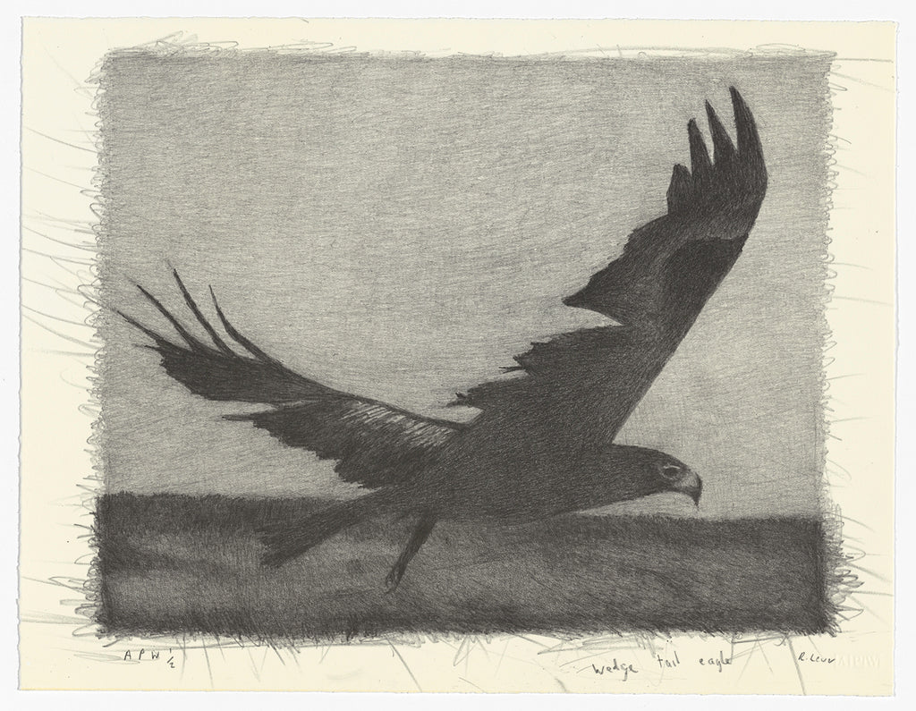 Richard Lewer 'Wedge Tail Eagle' Lithograph Print