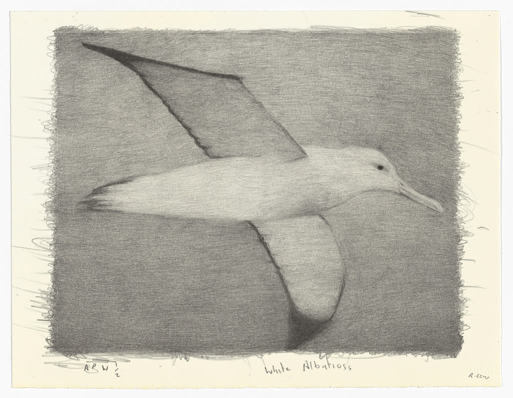 Richard Lewer 'White Albatross' Lithograph Print