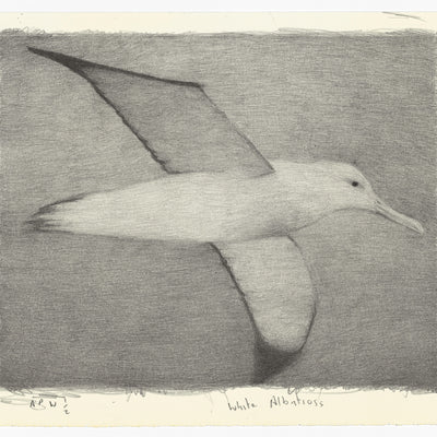 Richard Lewer 'White Albatross' Lithograph Print