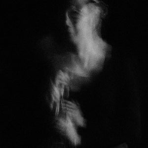 THE BLACK ROSE, ART GALLERY OF SOUTH AUSTRALIA