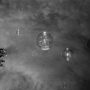 Trent Parke, Backyard, Adelaide, 2010, from The Black Rose, silver gelatin print, 120 x 150 cm, ed. of 5