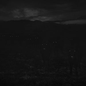 Trent Parke, Cows, Great Alpine Road, Victoria, 2011, from The Black Rose, pigment print, 150 x 180 cm, ed. of 10