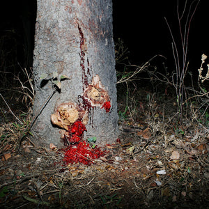 Trent Parke, Tree, Drysdale River, Western Australia, 2011, from The Black Rose, pigment print, 150 x 110 cm, ed. of 7