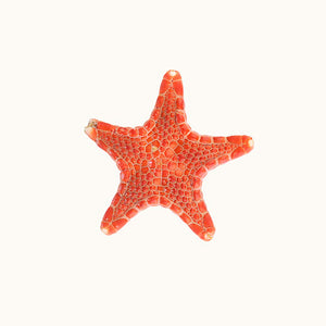 Narelle Autio, Vermillion Biscuit Star, 2009, from The Summer of Us, pigment print, 20 x 25 cm, ed. of 8