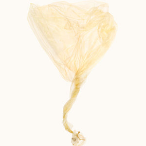 Narelle Autio, Plastic Bag, 2009, from The Summer of Us, pigment print, 32 x 40 cm, ed. of 8