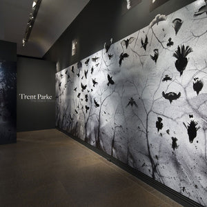 Trent Parke’s ‘The Black Rose’ at the Art Gallery of South Australia, 2015