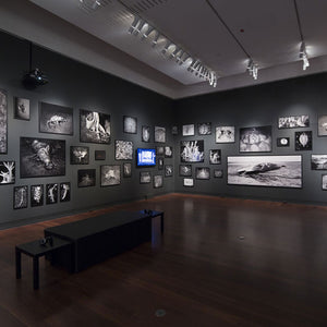 Trent Parke’s ‘The Black Rose’ at the Art Gallery of South Australia, 2015