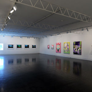 Group Show featuring Narelle Autio, Nana Ohnesorge & Elvis Richardson at Hugo Michell Gallery, 2010