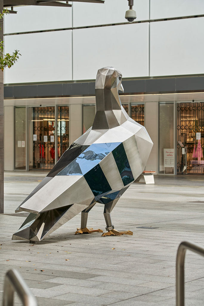 PIGEON – Hugo Michell Gallery