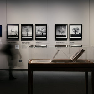 WW1 Avenue of Honour Exhibition at Australian War Memorial by Trent Parke. Photography by Daniel Spellman