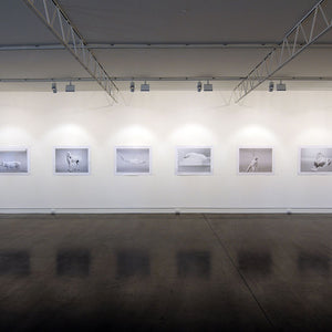 Beverley Veasey at Hugo Michell Gallery, 2009