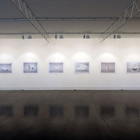 Beverley Veasey at Hugo Michell Gallery, 2009