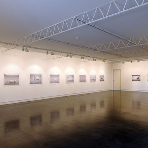 Beverley Veasey at Hugo Michell Gallery, 2009