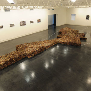 James Darling and Lesley Forwood, Country, 2011, 3.5 tonnes Mallee roots, 11.25 x 4.75 x 0.45 m