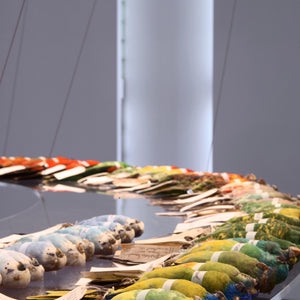 Janet Lawrence, Birdsong (installation detail), 2006, assembly of taxidermised bird specimens from the Australian Museum, suspended acrylic ring and sounds of birdcalls and wing flutters, installation dimensions variable, Object Gallery, Sydney