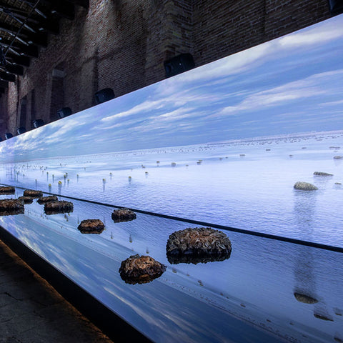James Darling & Lesley Forwood’s 'Living Rocks: A Fragment of the Universe' at La Biennale di Venezia, 2019
