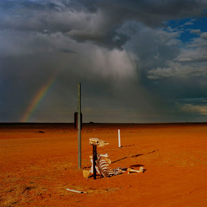 Narelle Autio, Desert Storm, 2002-15, from Indifference, pigment print, 90 x 88.8 cm, ed. of 6