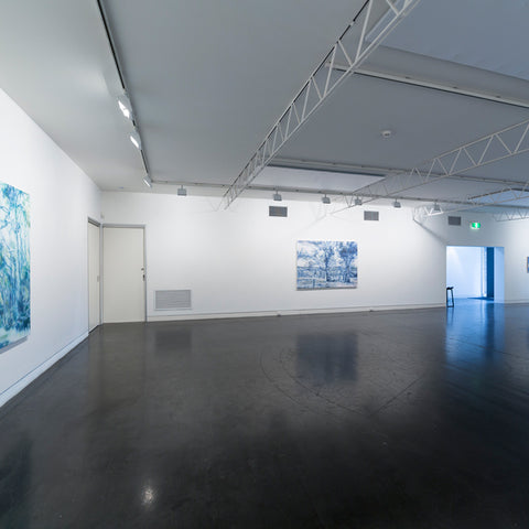 Fiona Lowry’s 'Out in the Night' at Hugo Michell Gallery, 2016