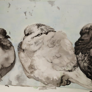 Fiona McMonagle, Columbiformes, 2015, watercolour, ink, and gouache on paper, 57 x 70 cm