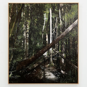 Grant Nimmo, Bones (Palawa Country), 2021, oil on linen, 97 x 112 cm