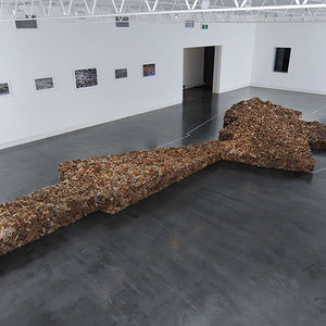 James Darling and Lesley Forwood’s 'Country' at Hugo Michell Gallery, 2011
