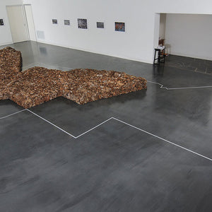 James Darling and Lesley Forwood’s 'Country' at Hugo Michell Gallery, 2011