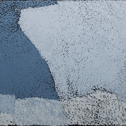 Pepai Carroll’s 'Ngayulu anu ngayuku mamaku ngurakutu' at Hugo Michell Gallery, 2018