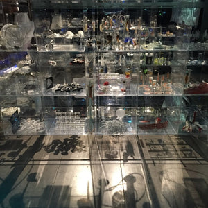 Janet Laurence, ‘Deep Breathing (Resuscitation for the Reef)’, 2015, mixed media installation, for UNFCCC/COP21 at the Muséum national d’Histoire naturelle, Paris