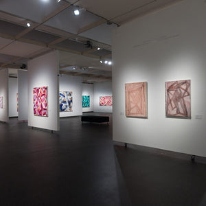   Ildiko Kovacs’ ‘The DNA of Colour’ survey show at Orange Regional Gallery, 2019