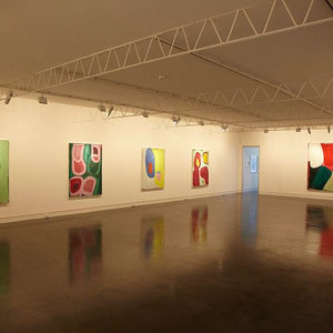 Ildiko Kovacs’ Solo Show at Hugo Michell Gallery, 2009