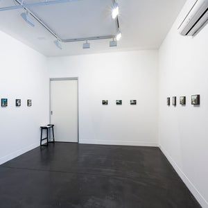 Irene Hanenbergh’s 'House of Dandelion & Lohr (outperformance)' at Hugo Michell Gallery, 2015